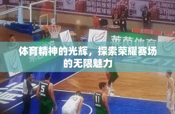 體育精神的光輝，探索榮耀賽場的無限魅力