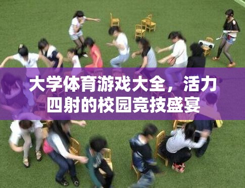 校園活力盛宴，大學(xué)體育游戲大全