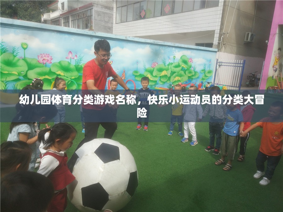 快樂小運(yùn)動(dòng)員的分類大冒險(xiǎn)，幼兒園體育分類游戲