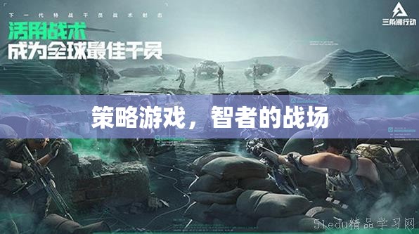 智者的戰(zhàn)場，策略游戲的智慧對決