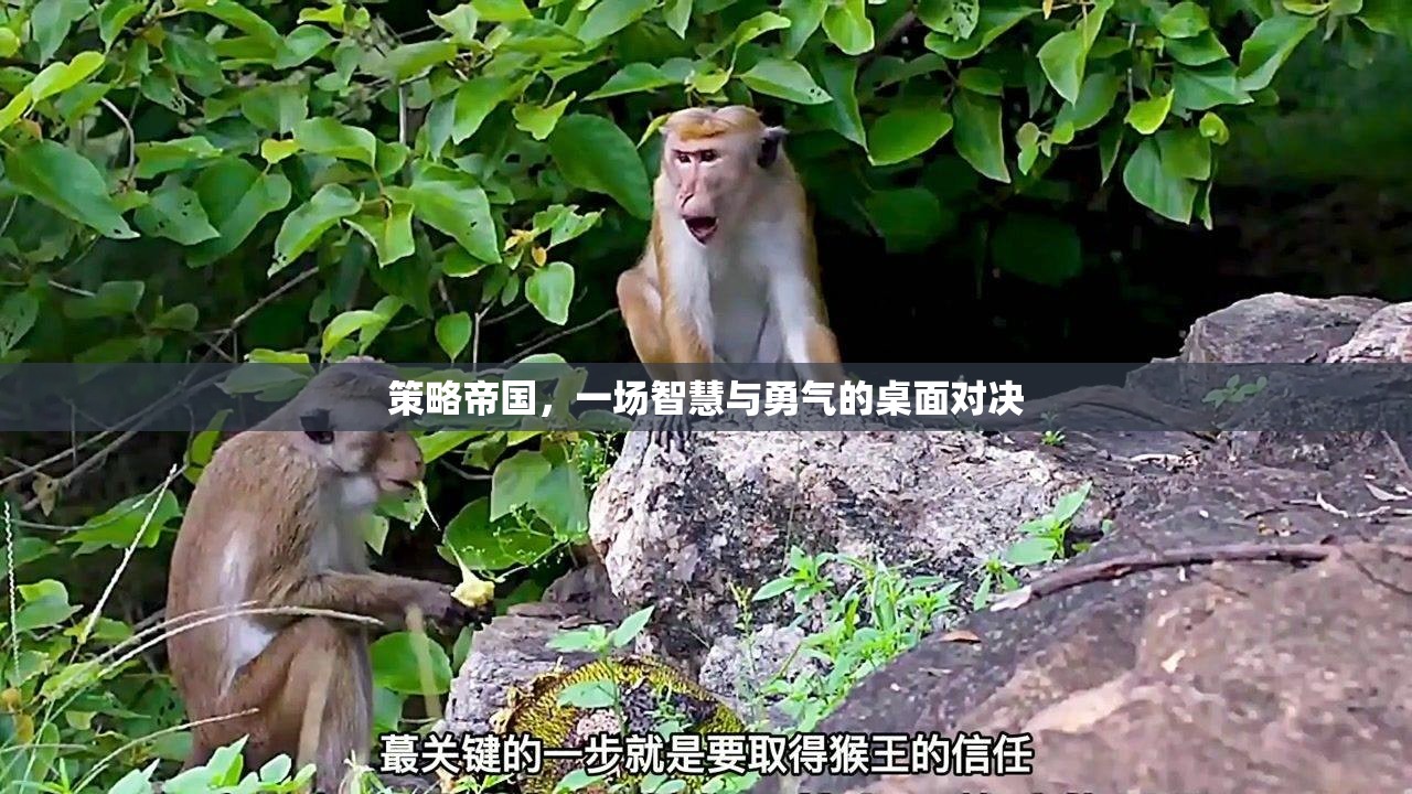 策略帝國，智慧與勇氣的桌面對(duì)決
