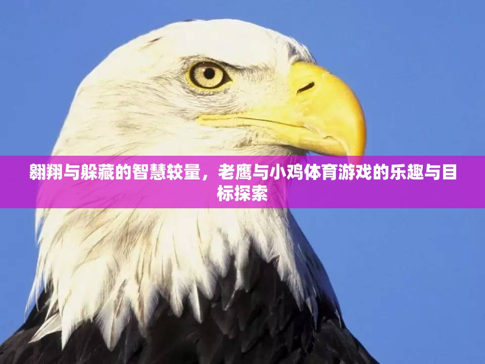 老鷹與小雞，智慧較量中的體育游戲樂趣與目標探索