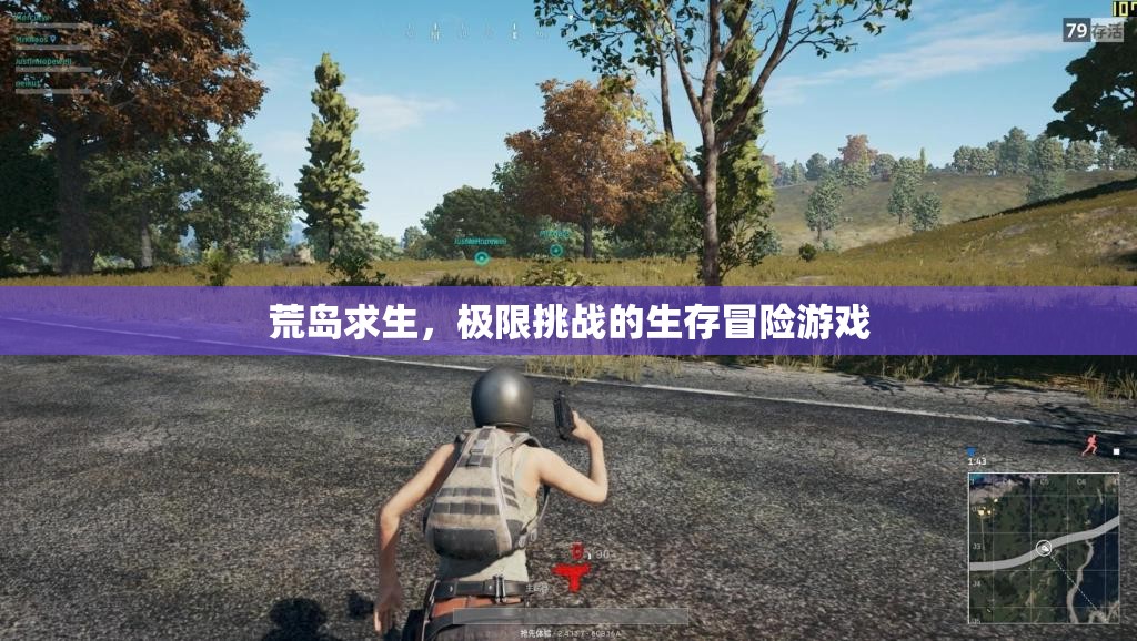 荒島求生，極限挑戰(zhàn)的生存冒險之旅