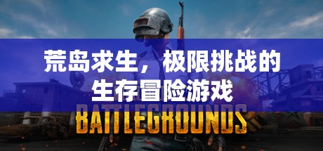 荒島求生，極限挑戰(zhàn)的生存冒險之旅
