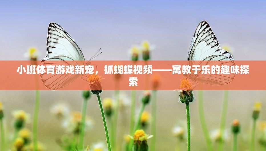 小班體育游戲新寵，抓蝴蝶視頻——寓教于樂的趣味探索