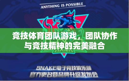 競(jìng)技體育團(tuán)隊(duì)游戲，團(tuán)隊(duì)協(xié)作與競(jìng)技精神的完美碰撞