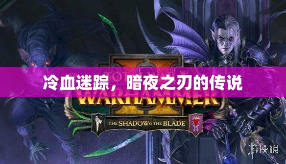 冷血迷蹤，暗夜之刃的傳奇之旅