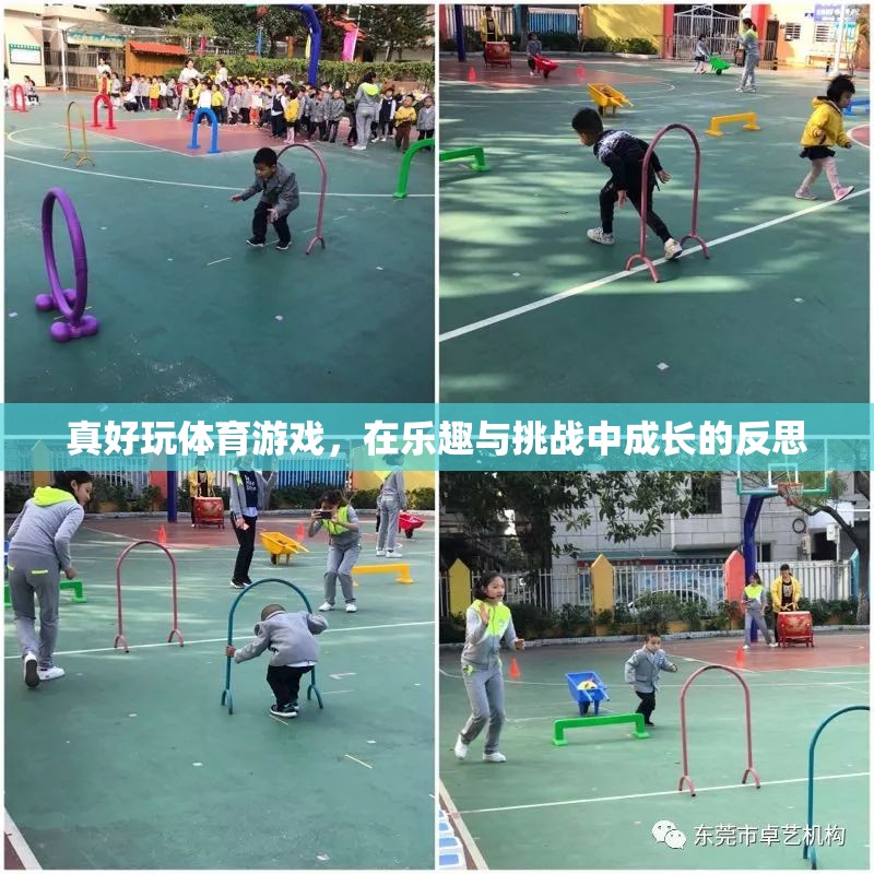 在樂趣與挑戰(zhàn)中成長(zhǎng)的體育游戲，一次反思之旅