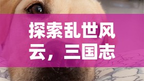三國志13角色扮演，亂世風(fēng)云的深度探索  第1張