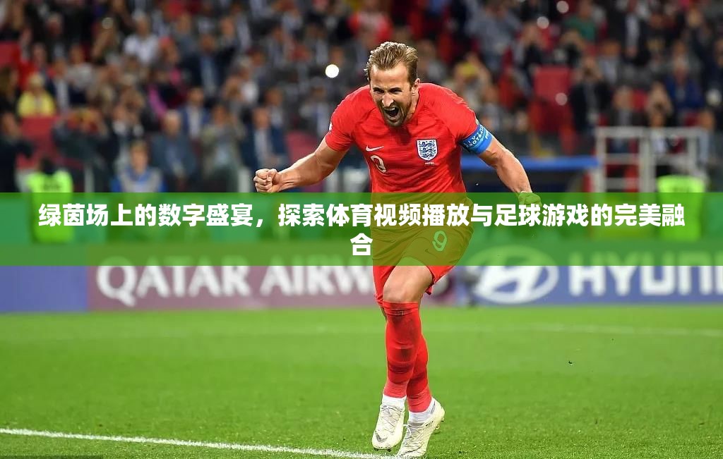 綠茵場(chǎng)上的數(shù)字盛宴，體育視頻播放與足球游戲的完美融合