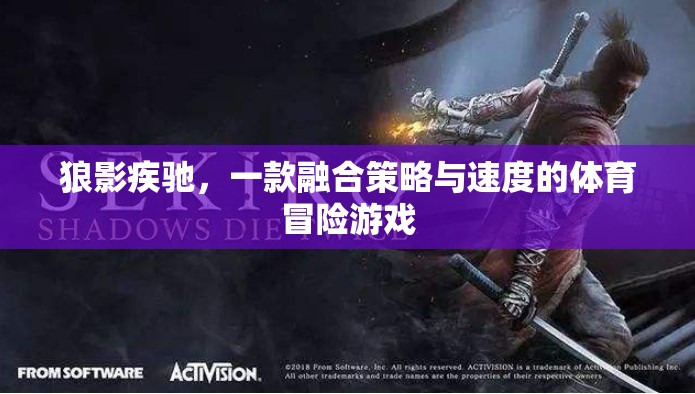狼影疾馳，策略與速度的體育冒險之旅