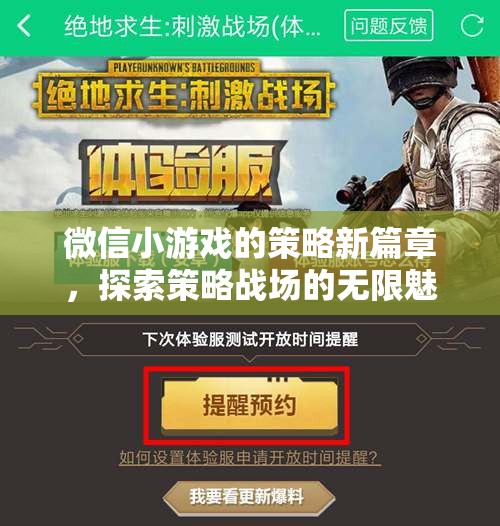 微信小游戲，策略新篇章，探索策略戰(zhàn)場的無限魅力