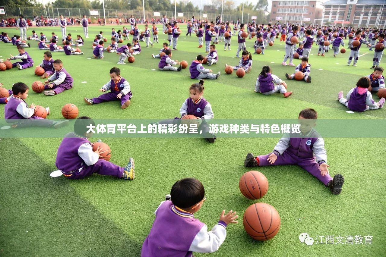 大體育平臺，游戲種類與特色概覽，精彩紛呈的體育娛樂盛宴  第1張