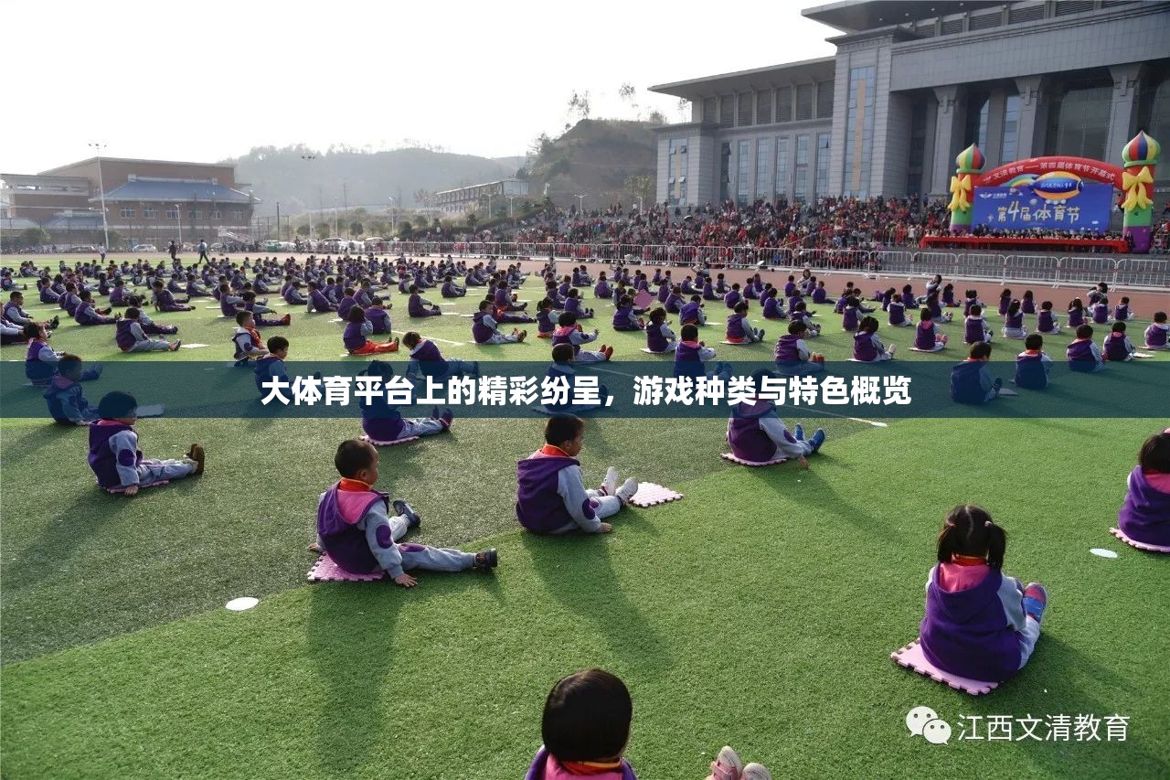 大體育平臺，游戲種類與特色概覽，精彩紛呈的體育娛樂盛宴  第2張