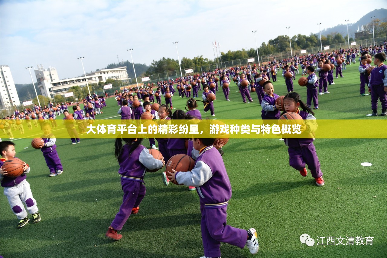 大體育平臺，游戲種類與特色概覽，精彩紛呈的體育娛樂盛宴  第3張