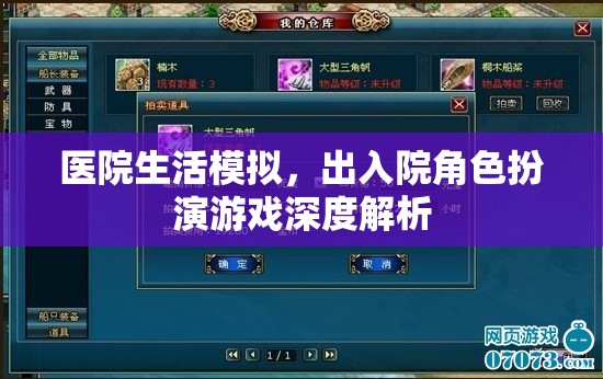 醫(yī)院生活模擬，深度解析出入院角色扮演游戲