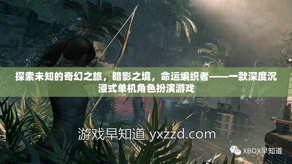 暗影之境，命運(yùn)編織者的奇幻之旅——深度沉浸式單機(jī)角色扮演游戲探索