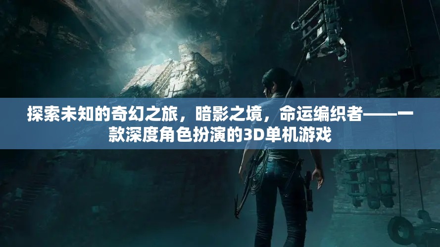 暗影之境，命運(yùn)編織者——一場(chǎng)深度角色扮演的奇幻之旅