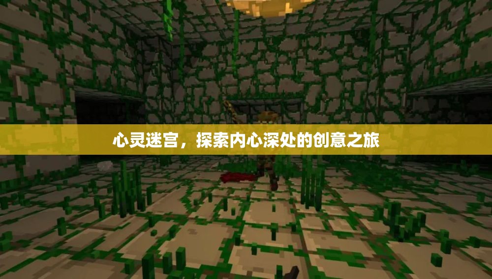 心靈迷宮，一場探索內(nèi)心深處的創(chuàng)意之旅