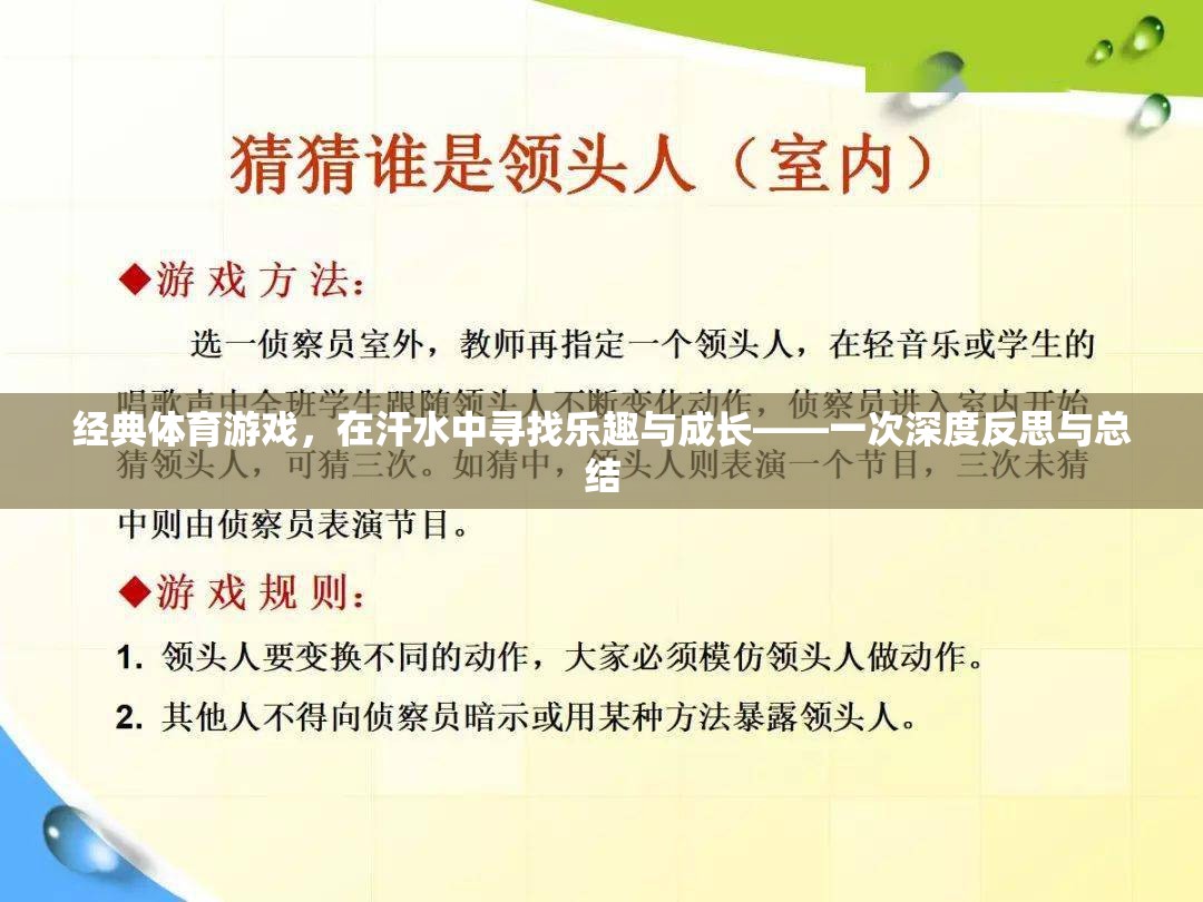 經(jīng)典體育游戲，在汗水中尋找樂趣與成長的深度反思與總結(jié)