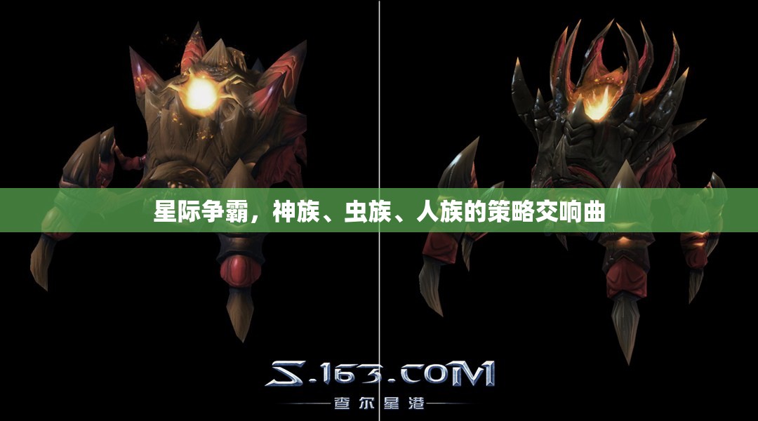 星際爭霸，神族、蟲族與人族的策略交響樂章