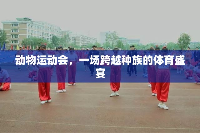 跨越種族的體育盛宴，動(dòng)物運(yùn)動(dòng)會(huì)