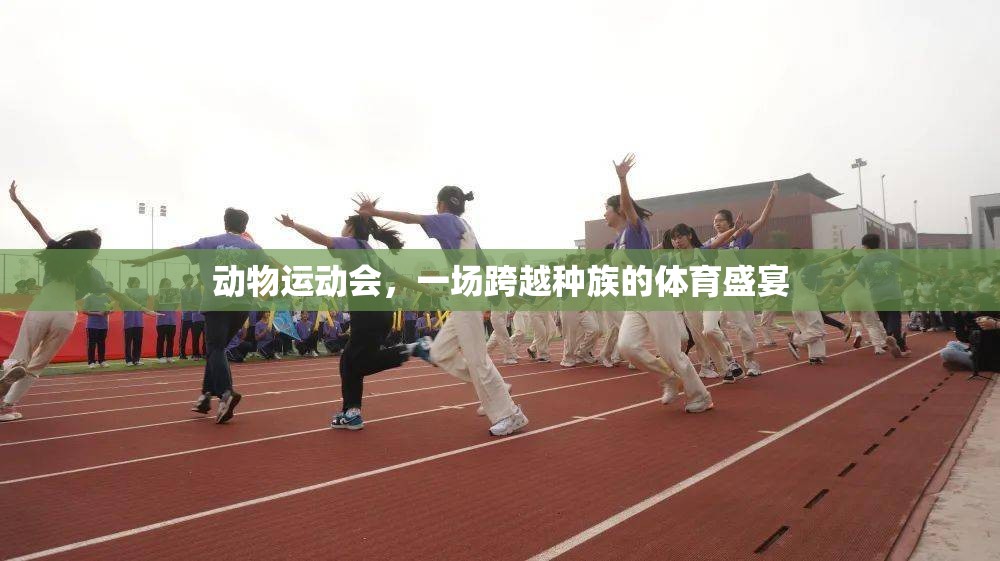 跨越種族的體育盛宴，動(dòng)物運(yùn)動(dòng)會(huì)