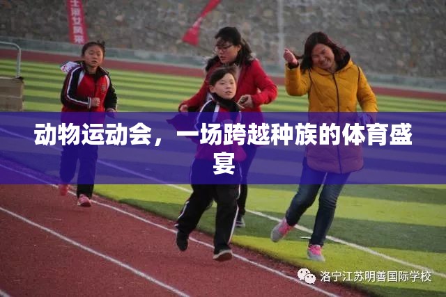 跨越種族的體育盛宴，動(dòng)物運(yùn)動(dòng)會(huì)