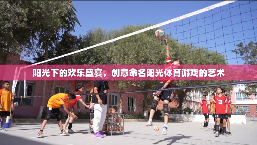陽光下的創(chuàng)意盛宴，命名陽光體育游戲的藝術(shù)