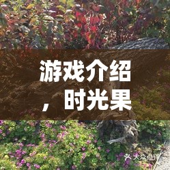 時(shí)光果園，蘋果之謎——昔日蘋果園的奇幻角色扮演之旅