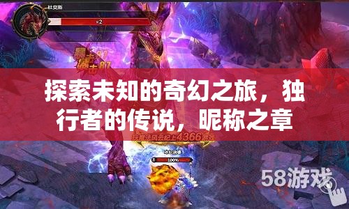 獨(dú)行者的奇幻之旅，探索未知的昵稱之章