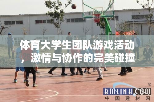 體育大學(xué)生團(tuán)隊游戲活動，激情與協(xié)作的完美碰撞