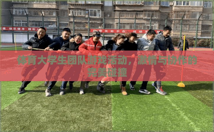 體育大學(xué)生團(tuán)隊游戲活動，激情與協(xié)作的完美碰撞