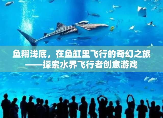 水界飛行者，魚翔淺底的奇幻之旅