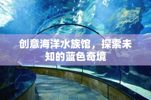 藍(lán)色奇境，創(chuàng)意海洋水族館的探索之旅