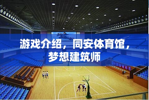 同安體育館，夢想建筑師的游戲之旅