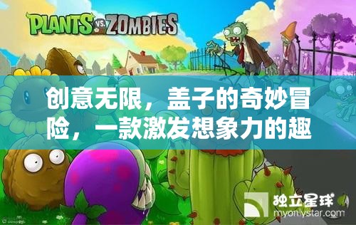 創(chuàng)意無限，蓋子的奇妙冒險——解鎖想象力的趣味之旅