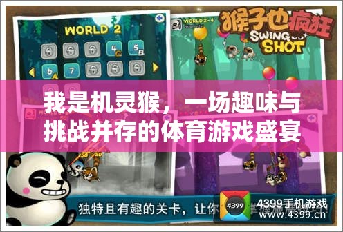 機(jī)靈猴，一場(chǎng)趣味與挑戰(zhàn)并存的體育游戲盛宴