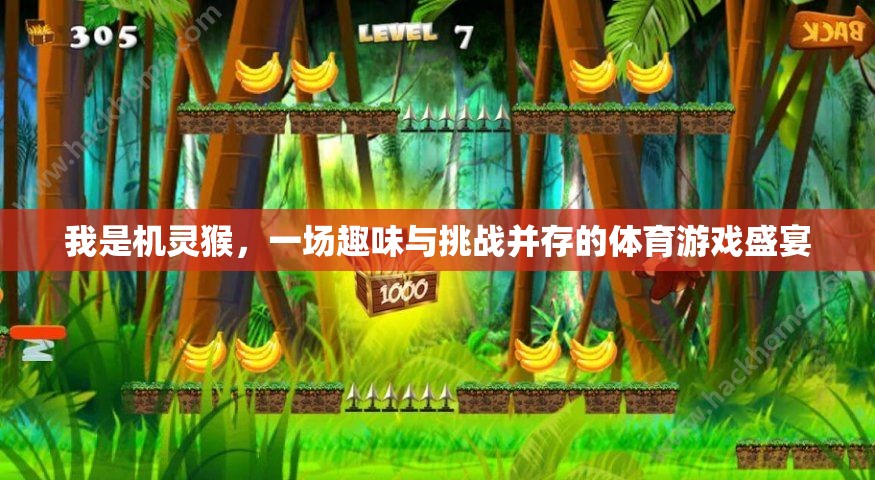 機(jī)靈猴，一場(chǎng)趣味與挑戰(zhàn)并存的體育游戲盛宴