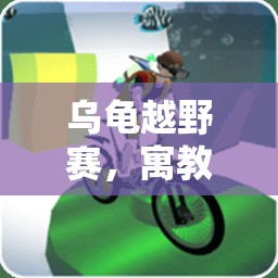 烏龜越野賽，寓教于樂的體育游戲教案