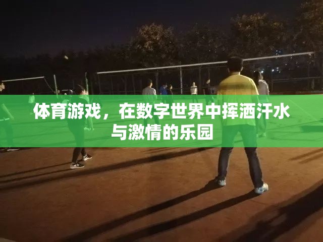 數(shù)字世界的運(yùn)動(dòng)盛宴，體育游戲中的激情與汗水