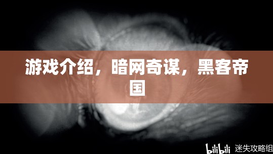 暗網(wǎng)奇謀，探索黑客帝國的游戲之旅