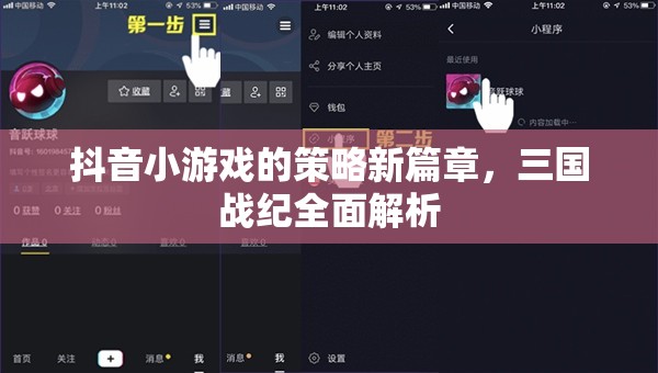 抖音小游戲新策略，三國戰(zhàn)紀全面解析