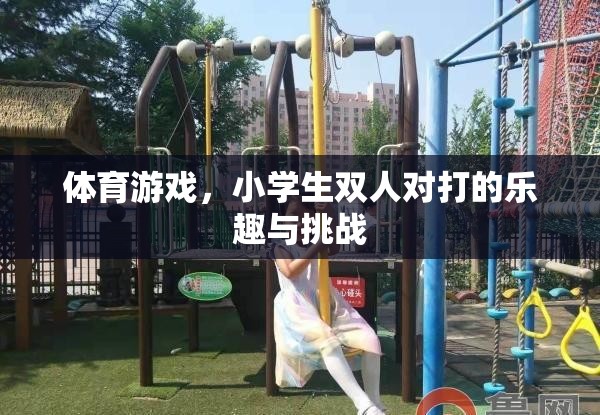 小學(xué)生雙人對(duì)打，體育游戲中的樂趣與挑戰(zhàn)