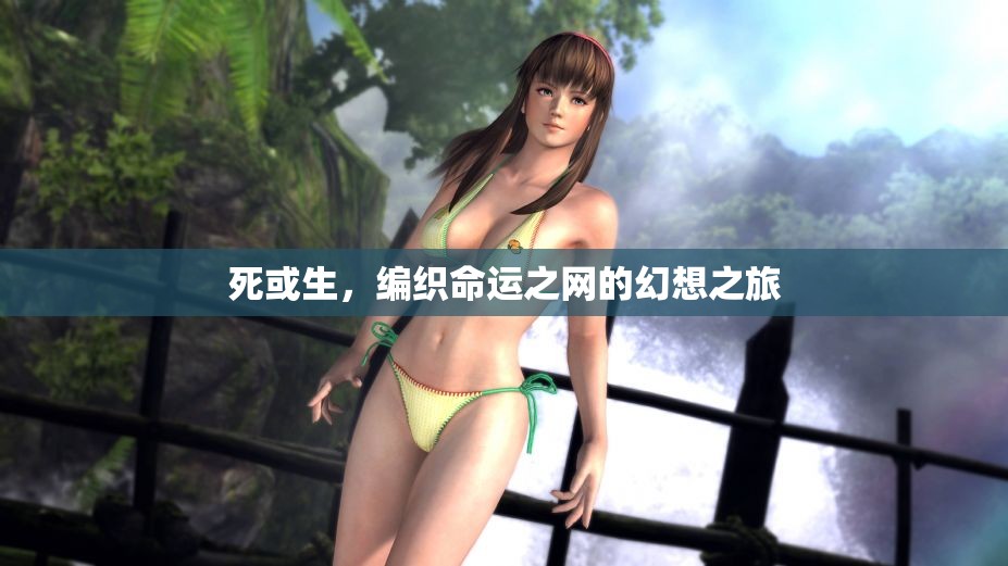 編織命運之網(wǎng)的幻想之旅，生死抉擇