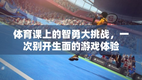 智勇大挑戰(zhàn)，體育課上的別開生面游戲體驗