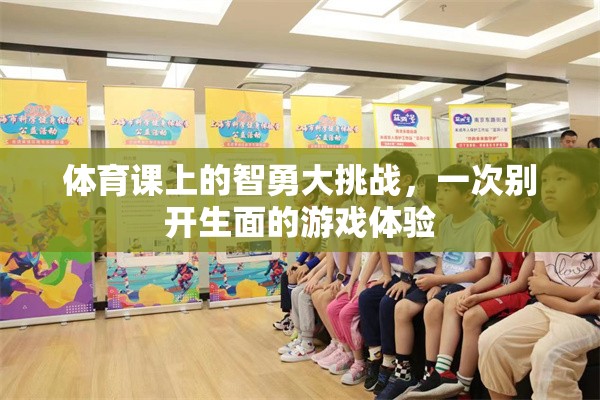 智勇大挑戰(zhàn)，體育課上的別開生面游戲體驗