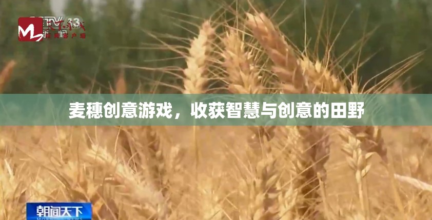 麥穗創(chuàng)意游戲，在智慧與創(chuàng)意的田野上播種收獲