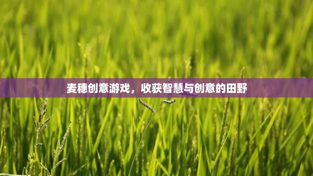 麥穗創(chuàng)意游戲，在智慧與創(chuàng)意的田野上播種收獲