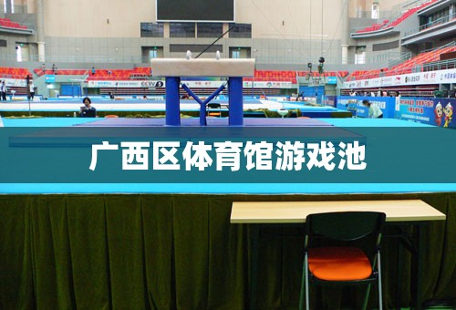 廣西區(qū)體育館游戲池，歡樂水世界，盡享夏日清涼